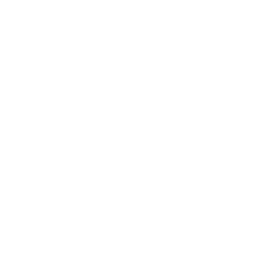 Brand Logo 2