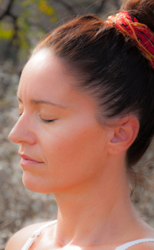 PSSBE • Pôle Sport Santé Bien-être Logo